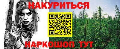 сатива Тверь