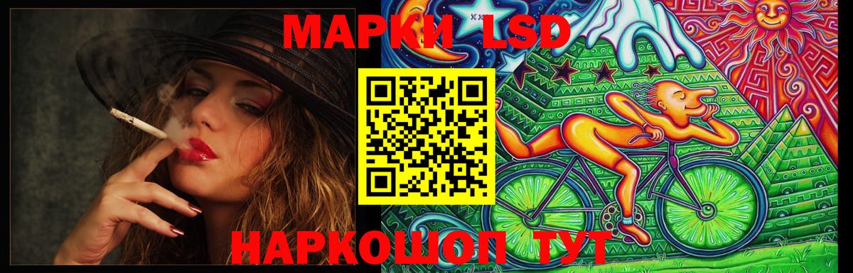 Бердск  LSD-25 экстази кислота  Вход с VPN 