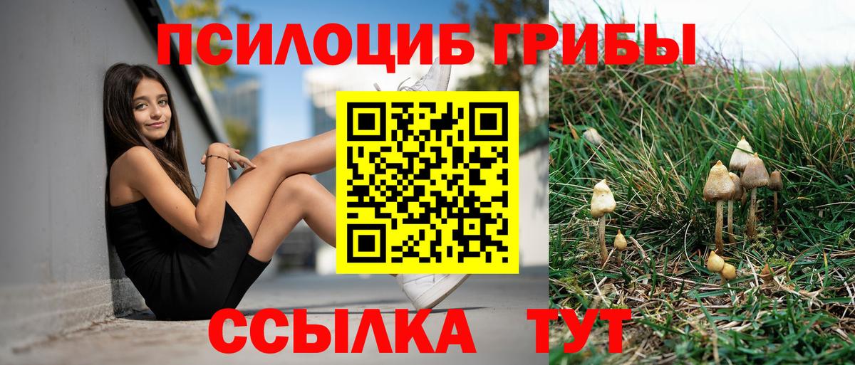 Псилоцибиновые грибы Magic Shrooms  Галлюциногенные грибы мицелий  Вход с VPN  где можно купить наркотик  Бердск 