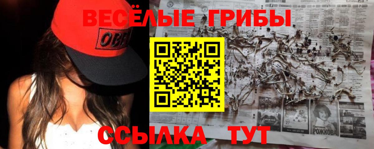 Галлюциногенные грибы Psilocybine cubensis Бердск